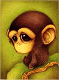 monkey.jpg image by shellymcmoon